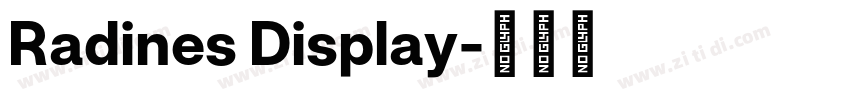 Radines Display字体转换 Radines Display字体转换